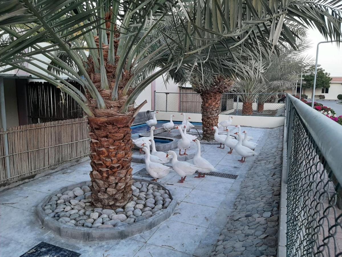 Asahalah Farm Pool Villas Seeb Eksteriør bilde