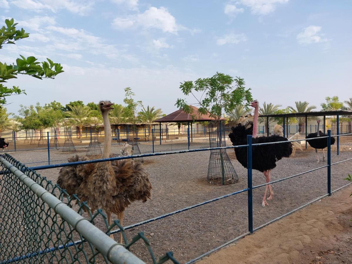 Asahalah Farm Pool Villas Seeb Eksteriør bilde